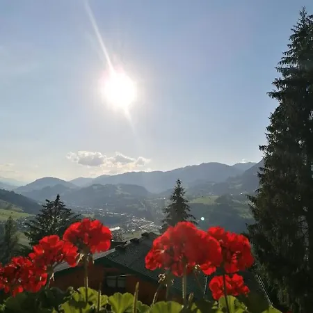 Deutschmann * Sankt Johann im Pongau